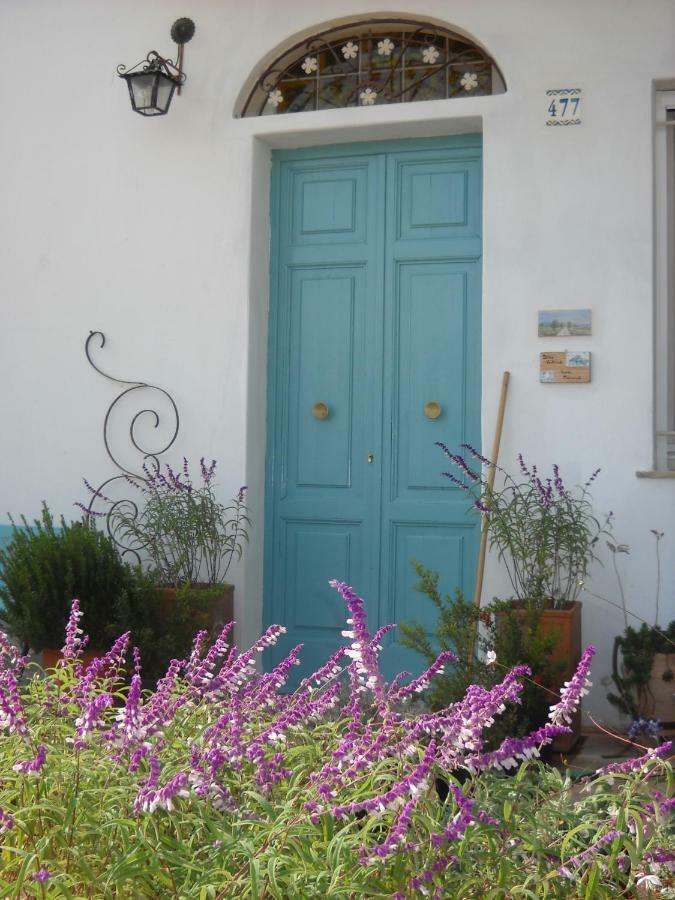 לינה וארוחת בוקר אלטאמורה Giardino Della Moscatella מראה חיצוני תמונה