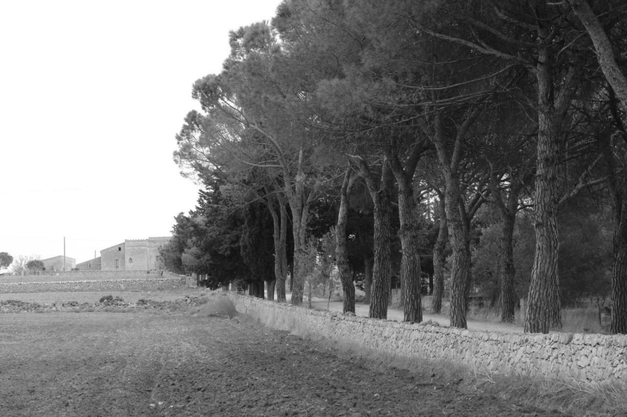 לינה וארוחת בוקר אלטאמורה Giardino Della Moscatella מראה חיצוני תמונה