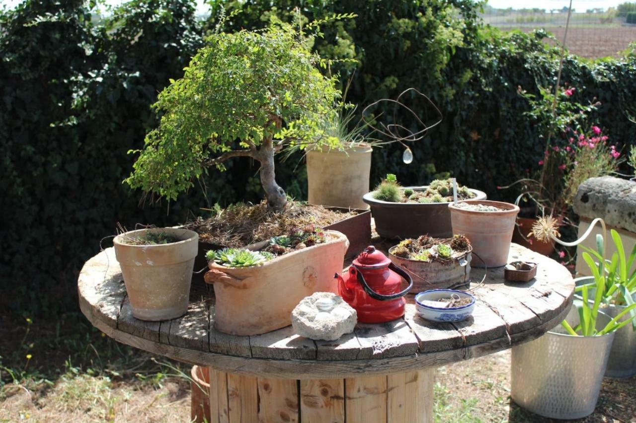 לינה וארוחת בוקר אלטאמורה Giardino Della Moscatella מראה חיצוני תמונה