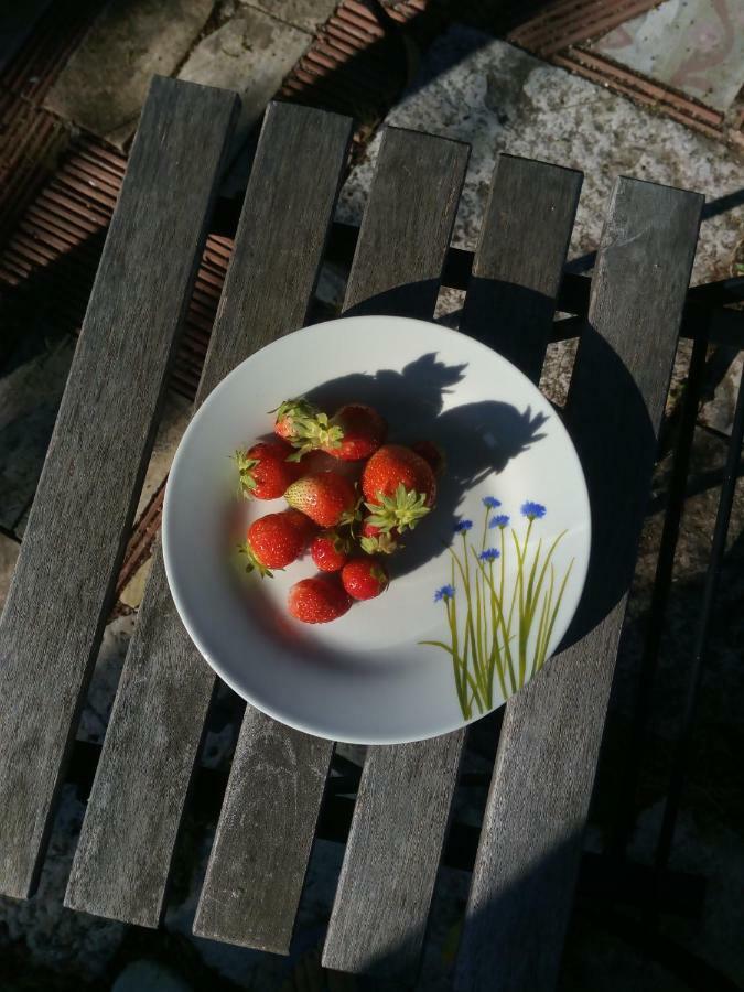 לינה וארוחת בוקר אלטאמורה Giardino Della Moscatella מראה חיצוני תמונה