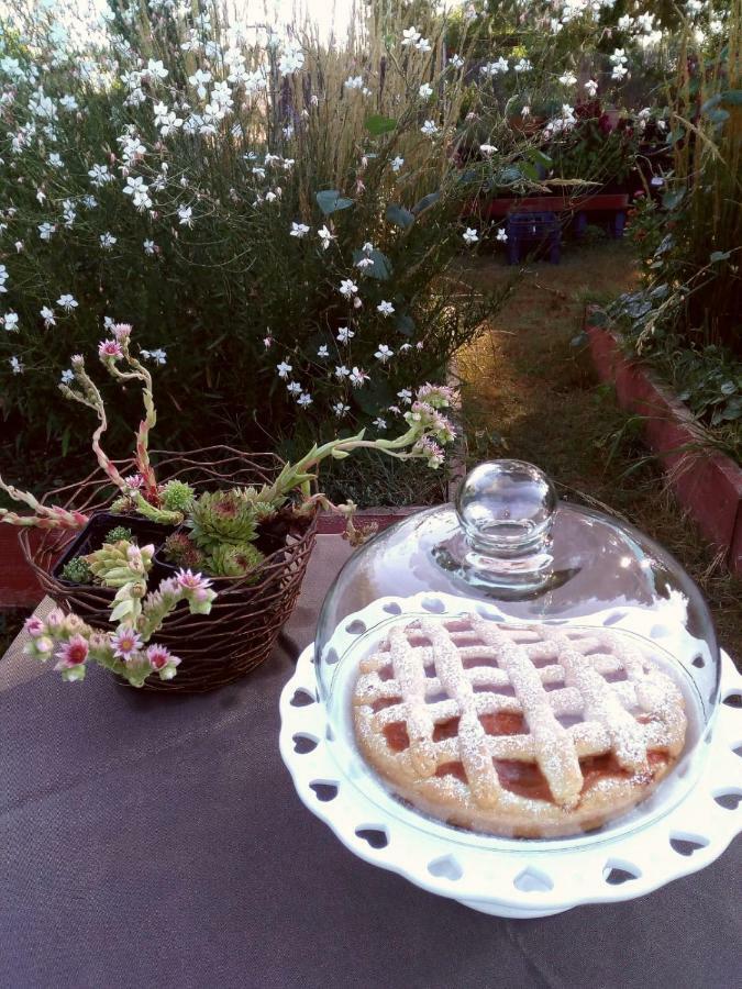לינה וארוחת בוקר אלטאמורה Giardino Della Moscatella מראה חיצוני תמונה