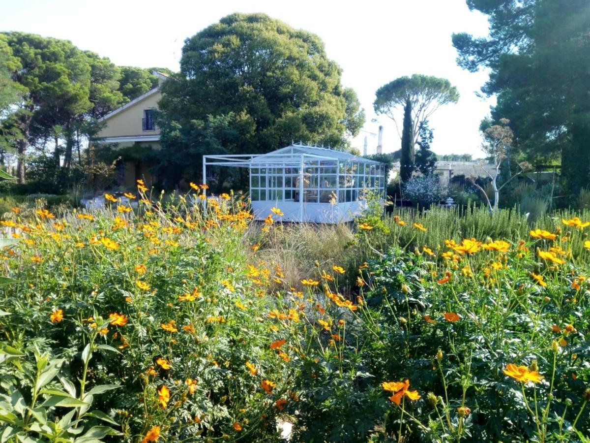 לינה וארוחת בוקר אלטאמורה Giardino Della Moscatella מראה חיצוני תמונה
