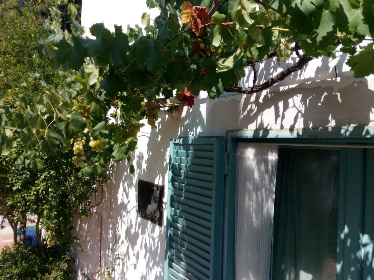 לינה וארוחת בוקר אלטאמורה Giardino Della Moscatella מראה חיצוני תמונה