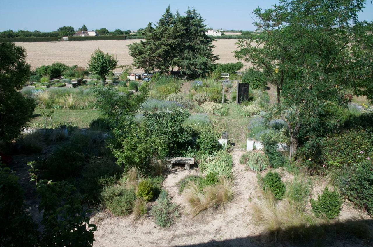 לינה וארוחת בוקר אלטאמורה Giardino Della Moscatella מראה חיצוני תמונה