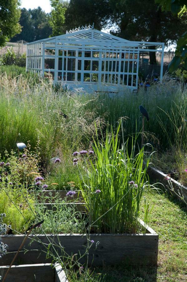 לינה וארוחת בוקר אלטאמורה Giardino Della Moscatella מראה חיצוני תמונה